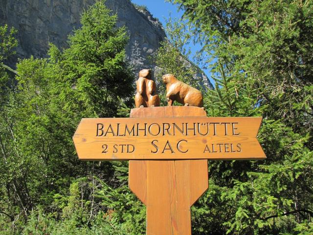 der geschnitze Wegweiser zur Balmhornhütte bei Punkt 1367 m.ü.M. weckt bereits Vorfreude auf die Hütte