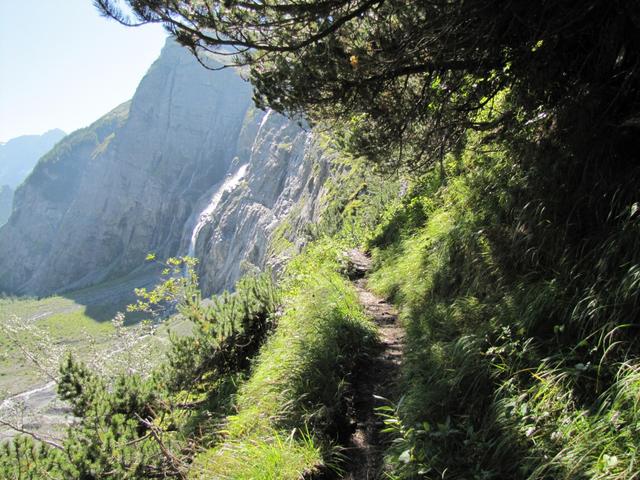 der Weg führt nun nicht allzu steil aufwärts Punkt 1500 m.ü.M.