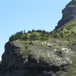 Blick hinauf zur Balmhorthütte