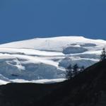 Blick hinauf zum makellos weiss glänzenden Balmhorngletscher