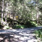 Wanderweg trifft wieder auf die Alpstrasse