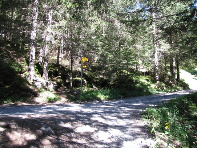 Wanderweg trifft wieder auf die Alpstrasse