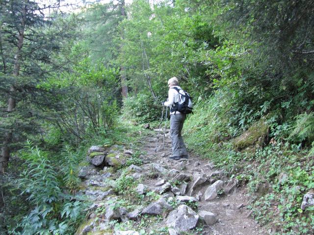 direkt nach dem überqueren der Kander führt der Wanderweg in den Wald