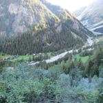 Blick hinunter nach Selden und das Gasterntal. Gut ersichtlich die breite Schneise die die Kander geschlagen hat