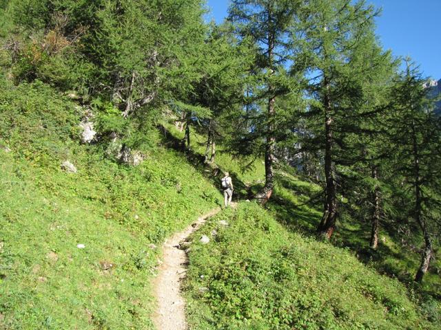 kurz vor dem Wald ende bei der Gfelalp