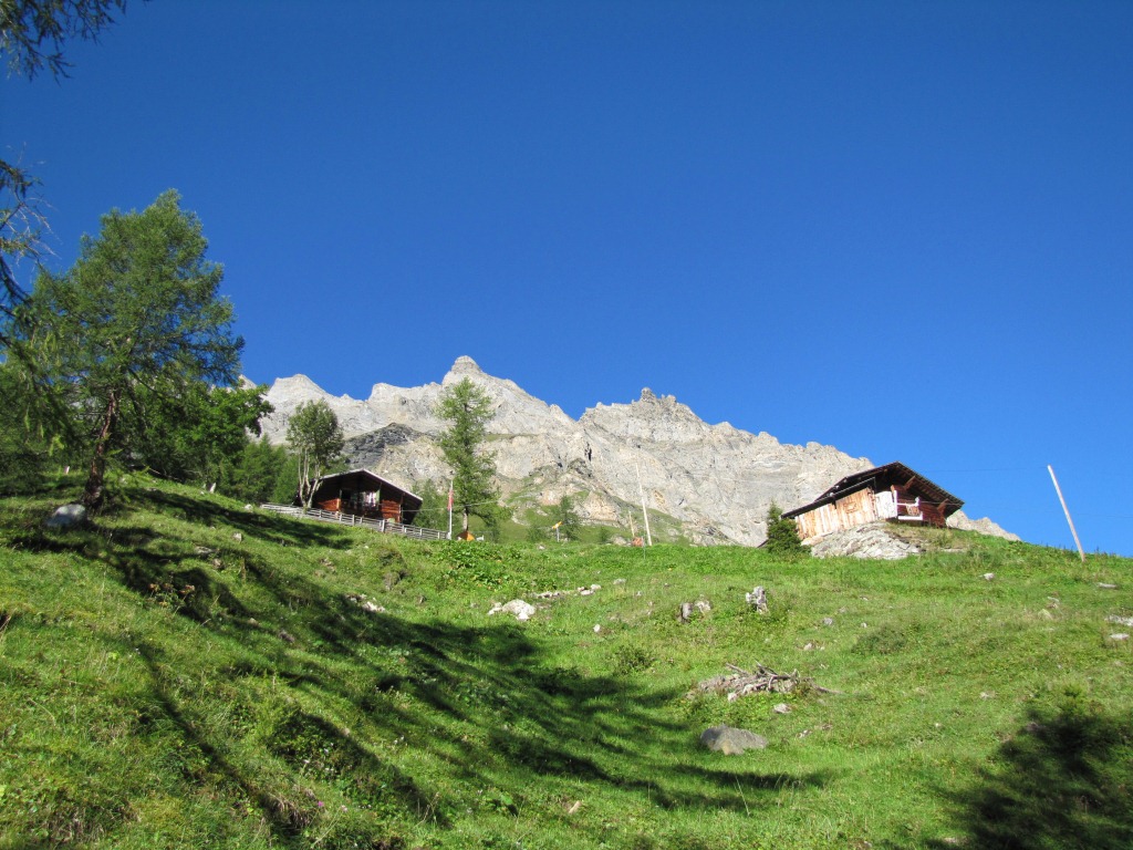 noch ein paar Schritten und wir haben die Gfelalp erreicht