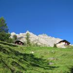 noch ein paar Schritten und wir haben die Gfelalp erreicht