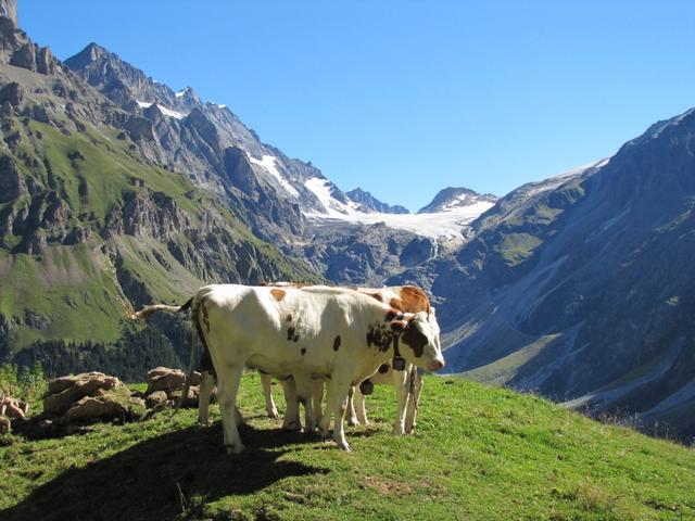 was für eine Aussicht bei Punkt 2094 m.ü.M.