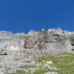 Blick hinauf zum Wildelsigengrat. Der Nordöstliche Rücken des Balmhorn