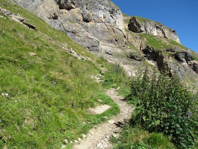 über einen Zickzack Weg wandern wir weiter steil aufwärts