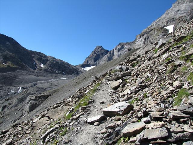 bei "Balme" 2403 m.ü.M. mir Blick Richtung Lötschegletscher