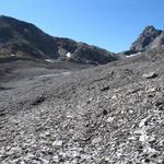 wir überqueren diagonal, den mit Eisenstangen markierten Lötschegletscher