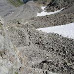 Blick hinunter zur Randmoräne des Lötschegletscher