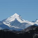 Blick auf das Weisshorn