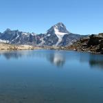 im kleinen See, spiegelt sich der Bietschhorn, einfach traumhaft