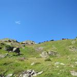 Blick hinauf zu den Alphäuser der Kummenalp, die alle schön der Reihe nach erbaut worden sind