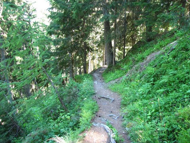 der Waldweg füher über nicht endenden Kehren abwärts