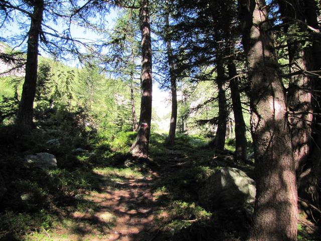 der Wanderweg führt uns zunächst durch einen kleinen Wald