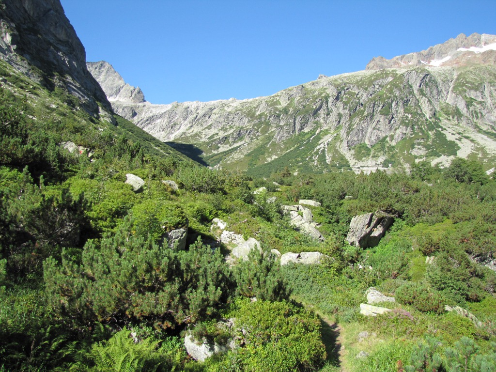 wir haben die Alp Ärlen erreicht 1680 m.ü.M.