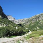 bei Punkt 1780 m.ü.M. biegt der Bergweg links in das kleine Seitental der Alp Ärlen