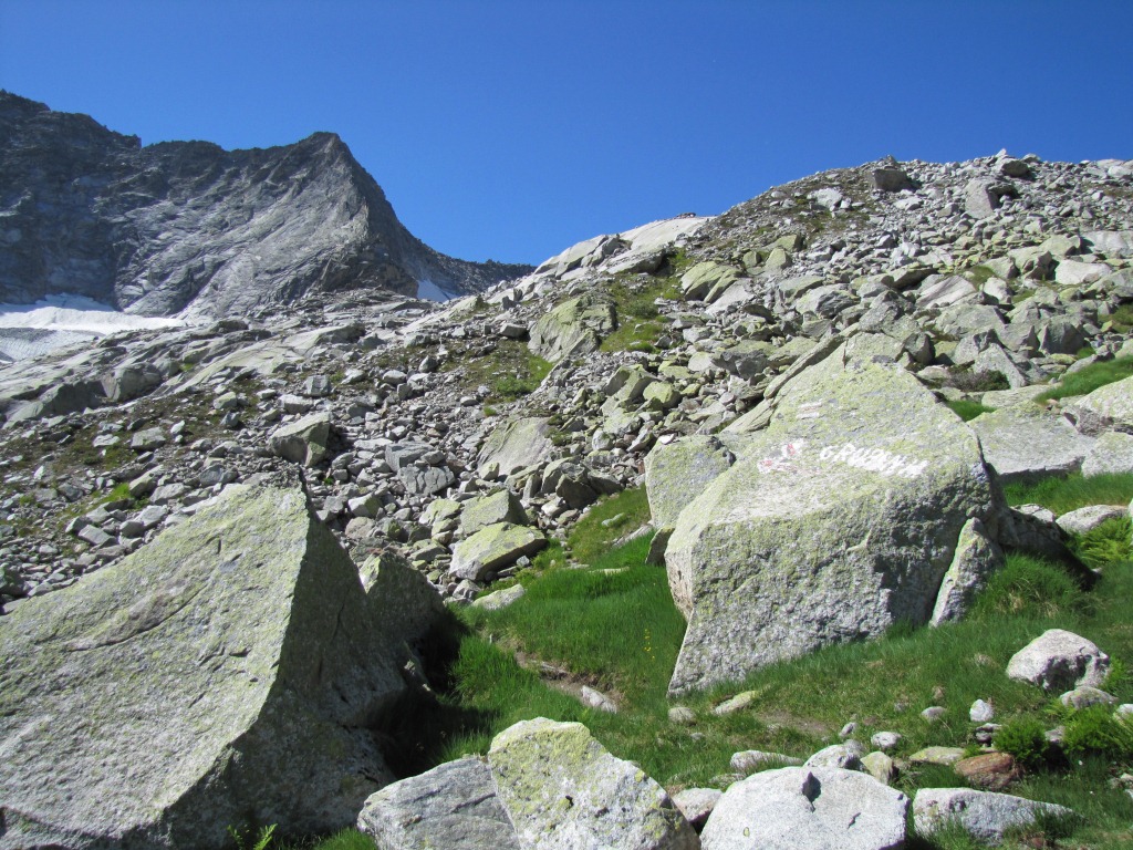 das Grün verschwindet