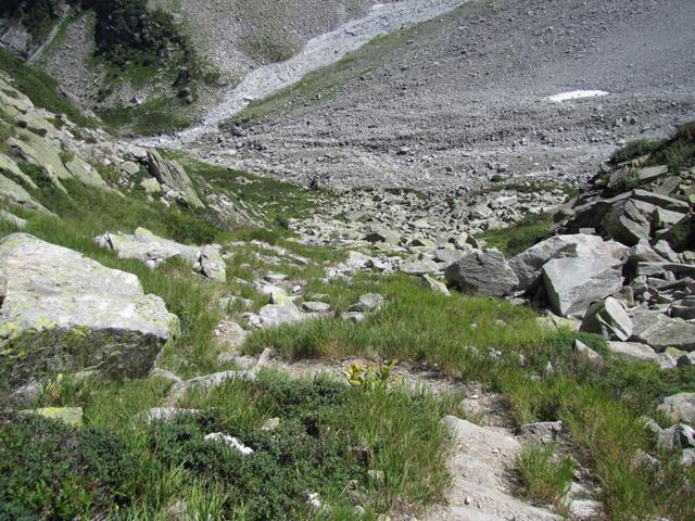 bei Egg Punkt 1976 m.ü.M.