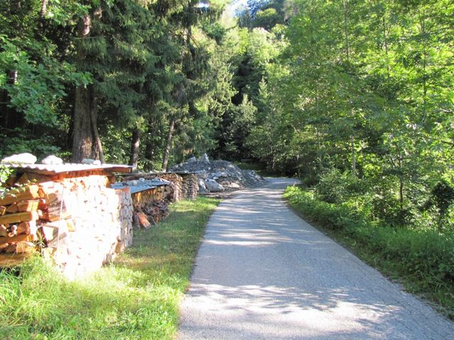 ein kurzes Stück laufen wir auf der Asphaltstrasse Richtung Kunkelspass