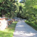 ein kurzes Stück laufen wir auf der Asphaltstrasse Richtung Kunkelspass