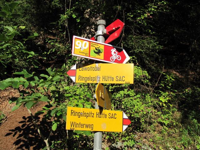 bei Punkt 705 m.ü.M. biegen wir links ab Richtung Ringelspitzhütte / Lawoitobel