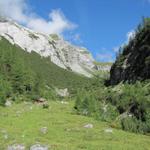 kurz nach dem überqueren des Lawoibaches stehen wir vor der Alphütte auf Hinter Säss 1667 m.ü.M.