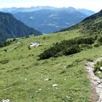 wir haben die Ringelspitzhütte verlassen und wandern nun abwärts Richtung Kunkelspass