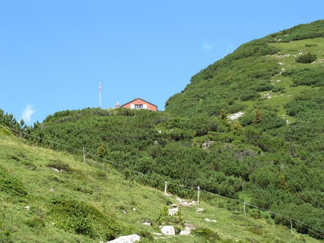 Blick zurück zur Ringelspitzhütte die fast von den Legföhren überdeckt wird