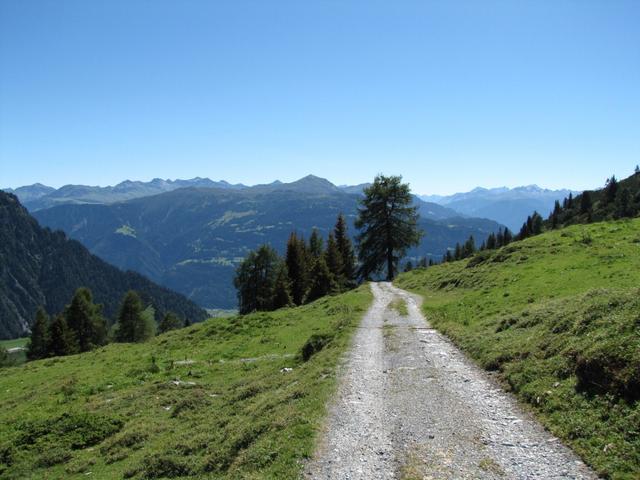 kurz nach der Grossalp 1833 m.ü.M.geht es über eine Alpstrasse weiter abwärts