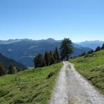 kurz nach der Grossalp 1833 m.ü.M.geht es über eine Alpstrasse weiter abwärts