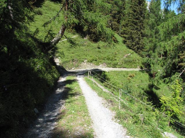 hier verlässt der Wanderweg die Alpstrasse und biegt rechts ab