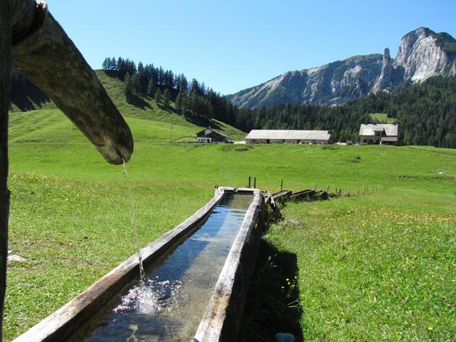 ein riesig langer Holzbrunnen selten anzutreffen