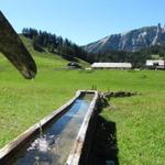 ein riesig langer Holzbrunnen selten anzutreffen