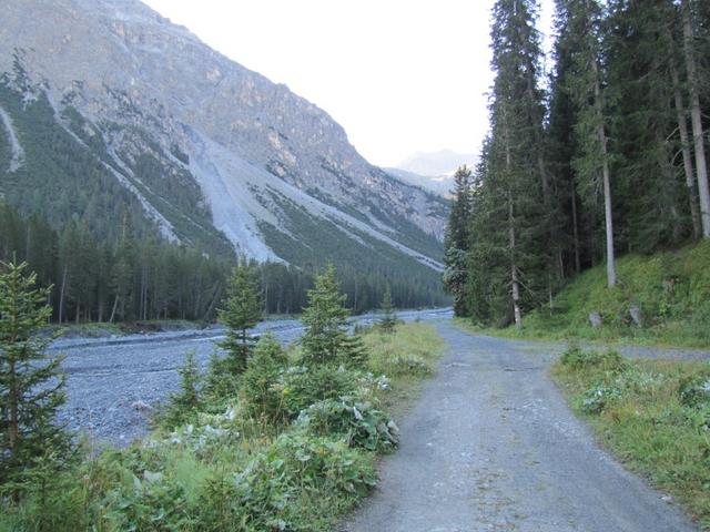 wir lassen die Hängebrücke links liegen und wandern geradeaus Richtung Welschtobel