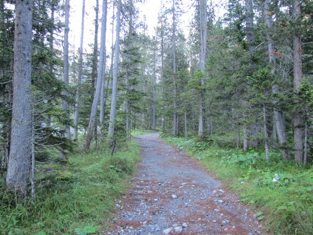 der Weg führt alles dem Welschtobelbach entlang