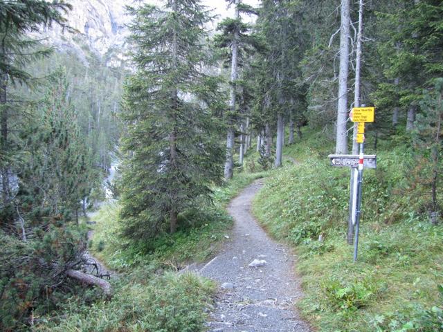 kurz nach Punkt 1643 m.ü.M. biegen wir bei dieser Kreuzung links ab