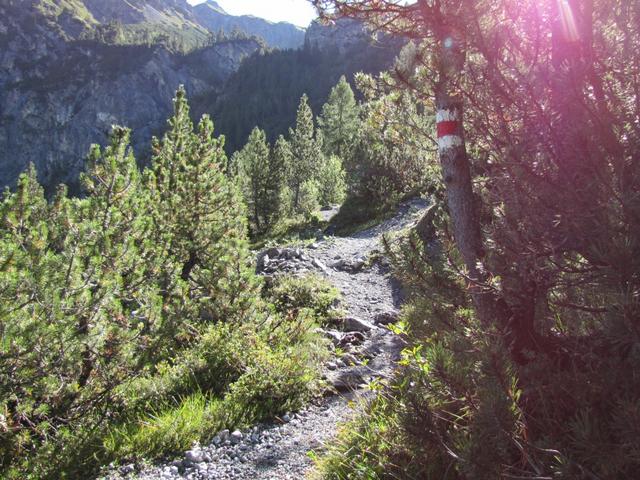 bei Punkt 1657 m.ü.M. halten wir uns rechts, der Anstieg beginnt