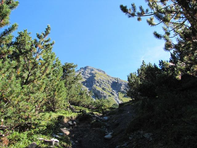 Blick hinauf zum Schiesshorn. Dort oben waren wir auch schon