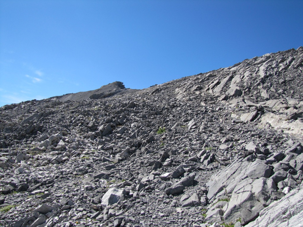 gut ersichtlich unser Ziel das Valbellahorn