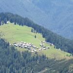 Tiefblick auf die Wiesener Alp