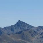 Blick zum Flüela Schwarzhorn