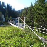 über die grosse Hängebrücke überqueren wir den Welschtobelbach