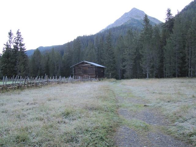 die kleine Ebene bei Isel Punkt 1618 m.ü.M.