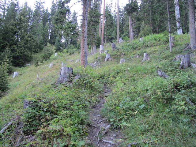 leicht ansteigend geht es weiter Richtung Schiesshorn Furgga