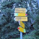Wegweiser bei  Punkt 1783 m.ü.M. hier biegen wir rechts ab, Richtung Schiesshorn Furgga