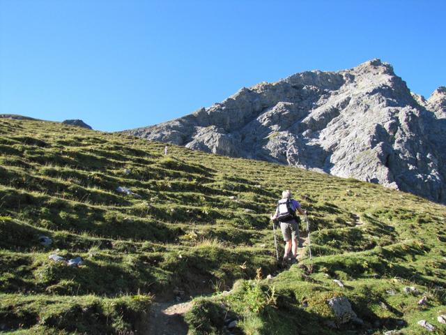 auf dem weitläufigem Alpgelände von Obersäss